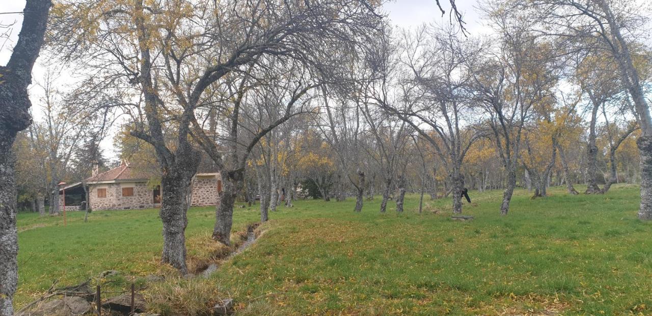 Exclusiva Casa Y Finca Privada Itos Pelayos del Arroyo Exterior photo
